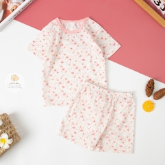 Bộ cotton giấy Hàn quốc có tay size 1/5 tuổi