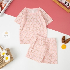 Bộ cotton giấy Hàn quốc có tay size 1/5 tuổi