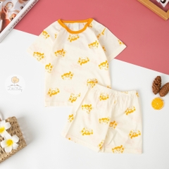 Bộ cotton giấy Hàn quốc có tay size 1/5 tuổi