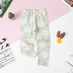 Quần legging thu đông BG 3/8 x23