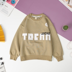 Áo nỉ bé trai TQ size 150/190