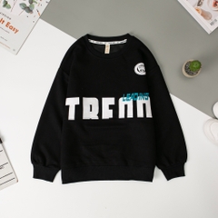 Áo nỉ bé trai TQ size 150/190