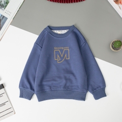 Áo thời trang trẻ em 2/6- nỉ cổ tròn