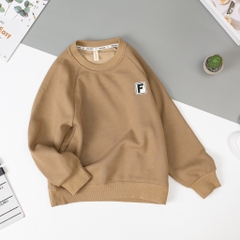 Áo nỉ Bé trai lót lông Size 150/190