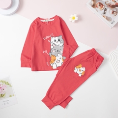Bộ cotton thu đông Bé gái in mèo WOW 2/8 Tuổi