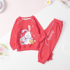 Bộ nỉ da cá BG in thỏ quần lé 2/8