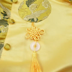 Áo dài gấm BT phối 2/12 x23