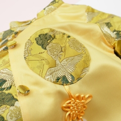 Áo dài gấm BT phối 2/12 x23