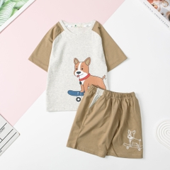 Bộ BT cotton ngắn tay phối 2/10 x24
