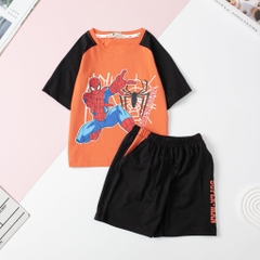 Bộ BT cotton ngắn tay phối 2/10 x24