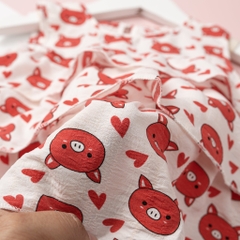 Bộ quần áo cotton TE BG đũi sát nách quần thô 2/12 x24