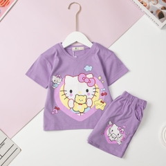 H436 Bộ Bé gái cotton 2 chiều size 2/7T x24