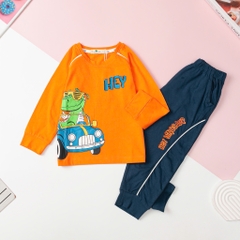 T403 Bộ cotton thu đông Bé trai dài tay size 2/8T