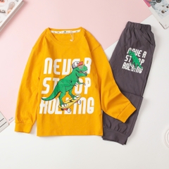 T406 Bộ cotton thu đông Bé trai size đại 8/16T