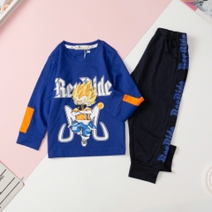 T403 Bộ cotton thu đông Bé trai dài tay size 2/8T