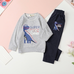 Bộ cotton thu đông Bé trai hình ô tô, Khủng long size 3/8T