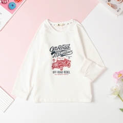 Áo Bé trai cotton thu đông in hình size 10/16T x24