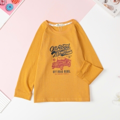 Áo Bé trai cotton thu đông in hình size 10/16T x24