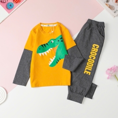 T419 Bộ Bé trai cotton thu đông Siêu nhân, Khủng long size 3/10T