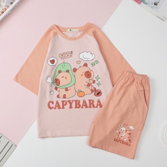 H519 Bộ cotton 4c BG ngắn tay 4/12