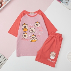 H519 Bộ cotton 4c BG ngắn tay 4/12
