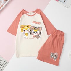 H519 Bộ cotton 4c BG ngắn tay 4/12