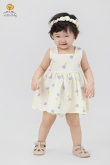 Set bộ đũi lanh kèm chíp rời 6/36 month