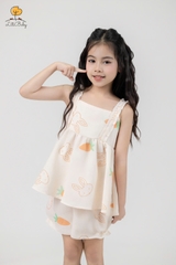 Bộ đũi lanh BG 2 dây 1/9
