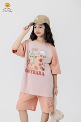 H519 Bộ cotton 4c BG ngắn tay 4/12