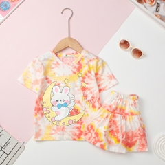 H474 Bộ cotton trẻ em-BG G005 4/10