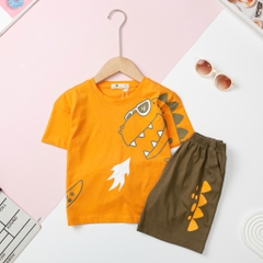 H479 Bộ cotton BT khủng long gai 2/10