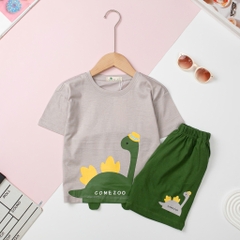 H479 Bộ cotton BT khủng long gai 2/10