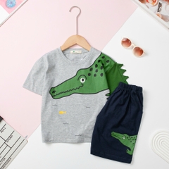 H479 Bộ cotton BT khủng long gai 2/10