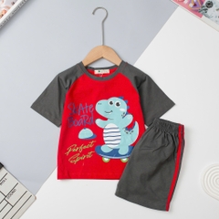 H508 Bộ BT cotton ngắn tay giáp lăng 2/10