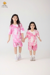 H524 Bộ BT, BG ngắn tay loang 2/12