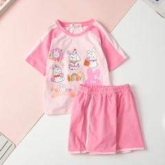 H528 Bộ BG ngắn tay hình phối 4/12