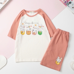H532 Bộ cotton BG 2 chiều vải dày 10/16