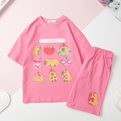 H532 Bộ cotton BG 2 chiều vải dày 10/16