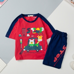 H533 Bộ cotton ngắn tay BT phối 4/12
