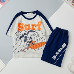 H533 Bộ cotton ngắn tay BT phối 4/12