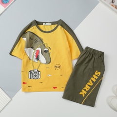 H533 Bộ cotton ngắn tay BT phối 4/12