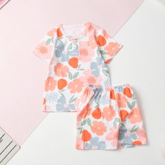H546 Bộ sơ sinh-SS01_ 9/36 sát nách, có tay