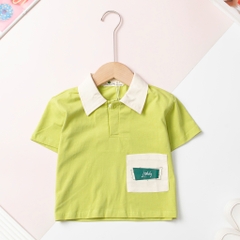 Áo cotton trẻ em, Áo thun cổ bẻ Bé trai A06 size 2/10 tuổi