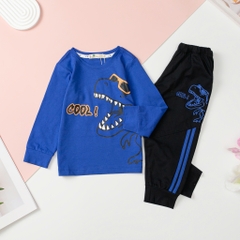 T403 Bộ cotton Bé trai thu đông size 2/8 tuổi