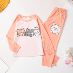 Bộ cotton trẻ em-bé gái ĐG002 4/12 H577