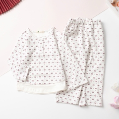 Bộ cotton trẻ em - bé gái  ĐG001  2/12 H597