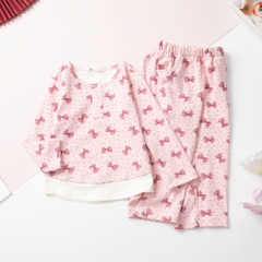 Bộ cotton trẻ em - bé gái  ĐG001  2/12 H597