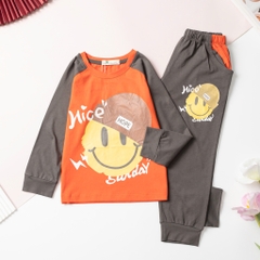 Bộ cotton trẻ em - bé trai 4/12 H585