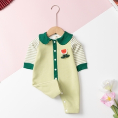 Bộ thời trang trẻ em - F05 9/36m body xanh