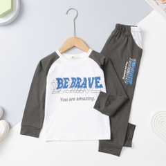 Bộ cotton trẻ em - bé trai 4/12 H585